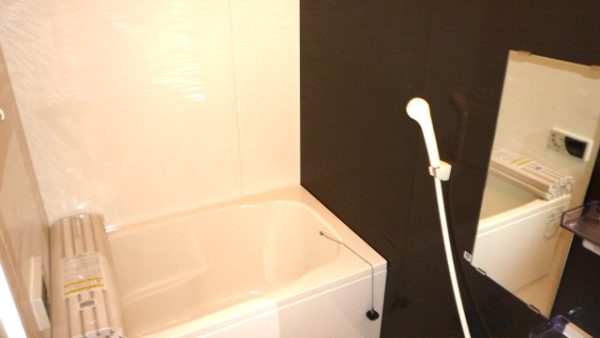 bathroom renovation